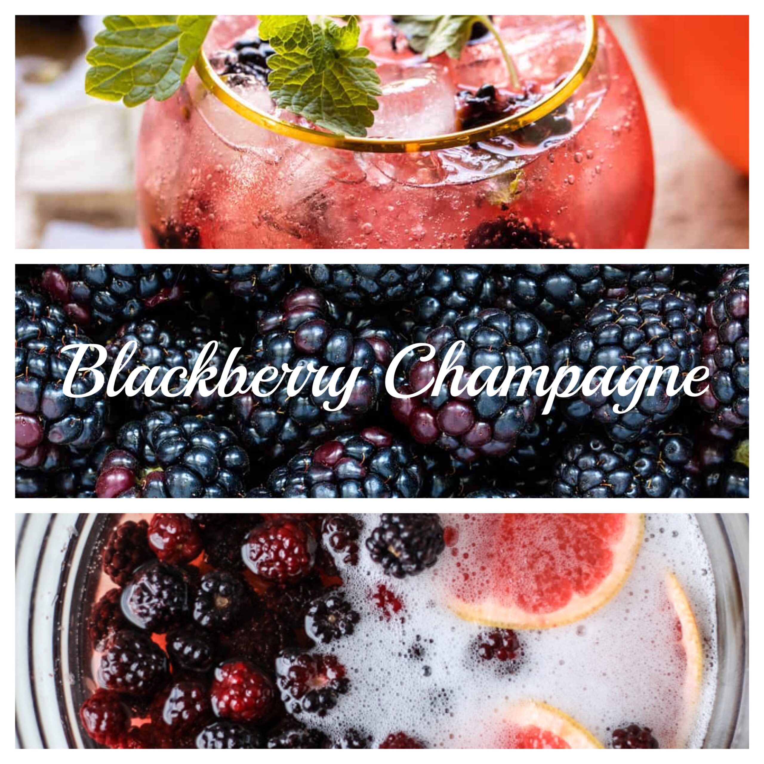 Blackberry Respect for 'D' ダンブル系、7台限定激レア Blackberry Champagne – Reeds Sweet Wine